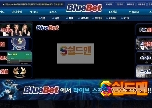 【먹튀검증】 블루벳 검증 BLUE 먹튀검증 blue7777.com 먹튀사이트 검증중